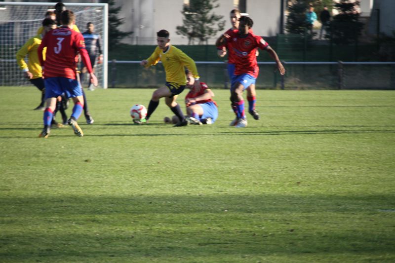 IMG_5137_1.JPG