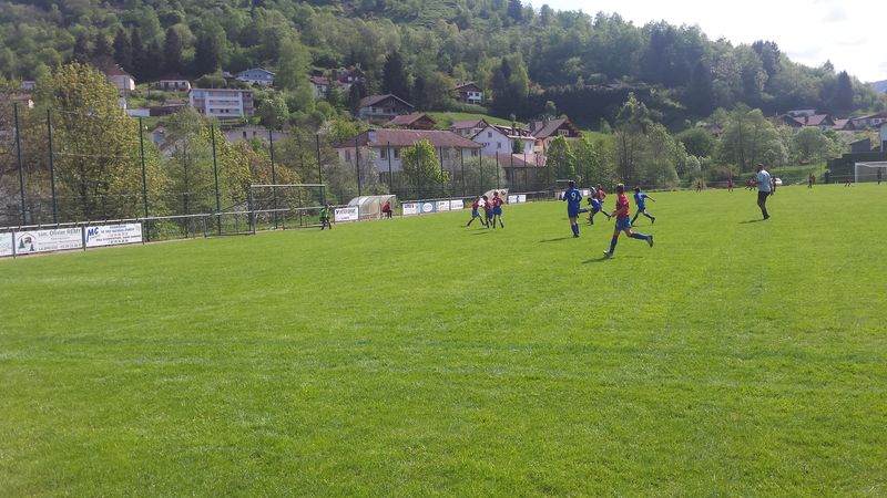 20150510_103110_1.jpg