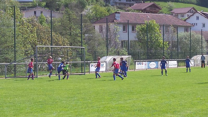 20150510_103301_1.jpg