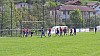 20150510_103259_1.jpg