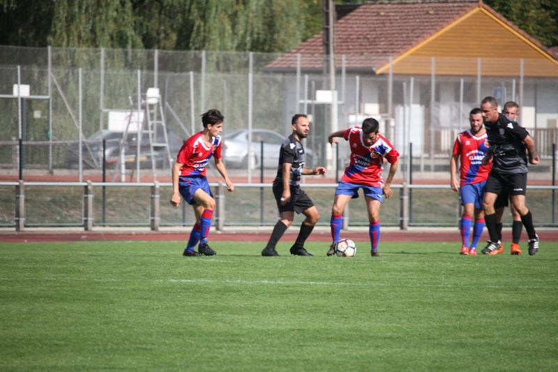IMG_7584_1.JPG