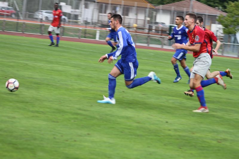 IMG_7491_1.JPG
