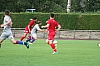 IMG_8429_1.JPG