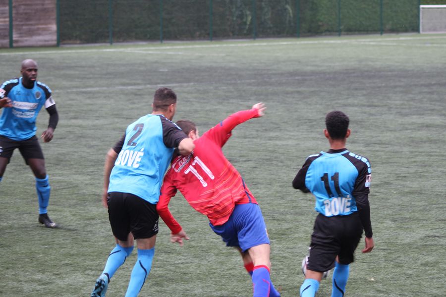 IMG_8579_1.jpg