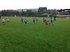IMG_3178_1.JPG