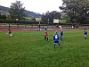 IMG_3181_1.JPG