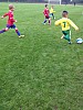 IMG_3187_1.JPG