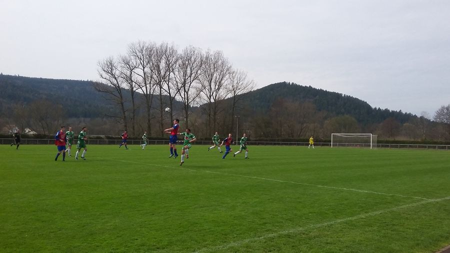 20160403_131011_1.jpg