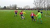 20160402_102222_1.jpg