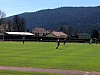 IMG_38701_1.jpg