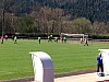 IMG_38721_1.jpg