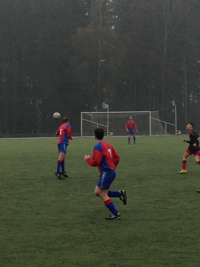 IMG_4600_1.JPG