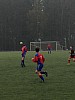 IMG_4600_1.JPG